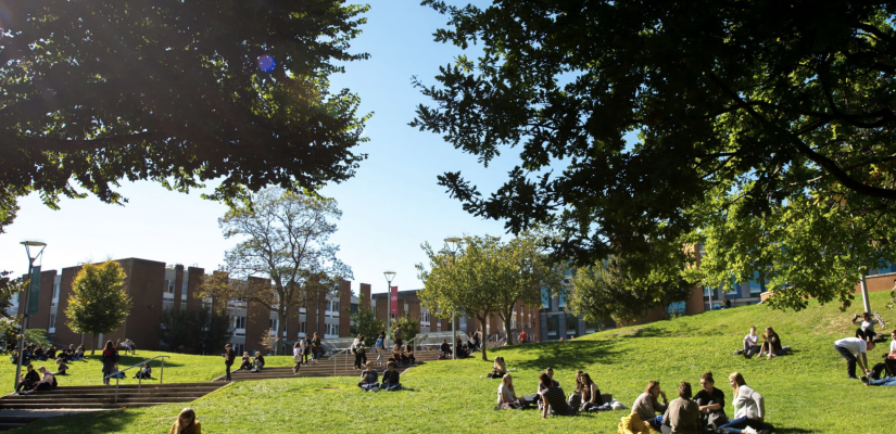 Screenshot 2025-12-04 alle 11.05.12