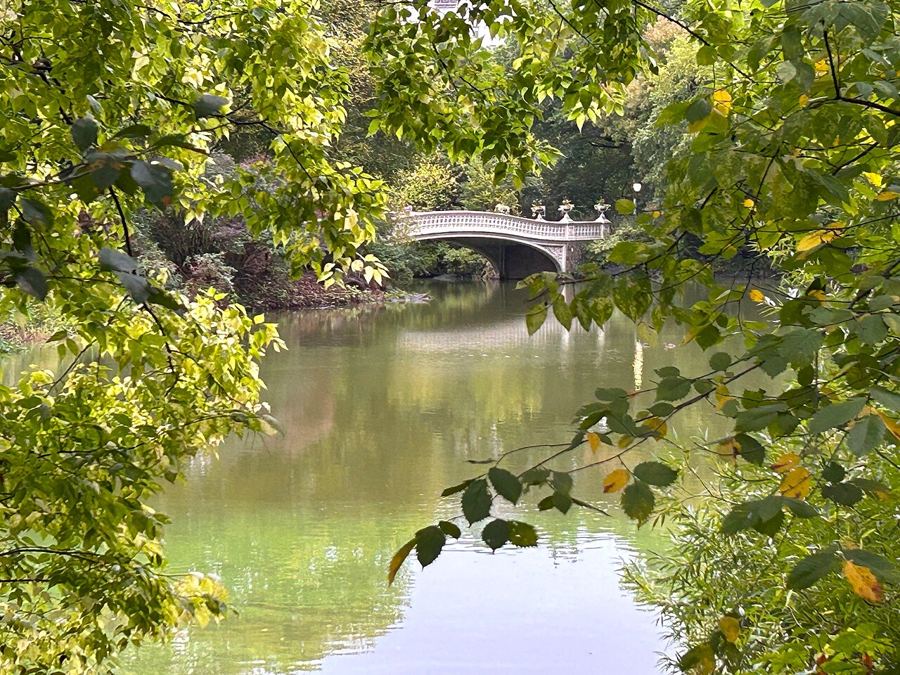 Central Park · Metropolitan Museum