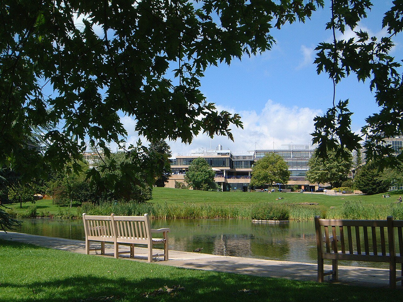Un campus verde con il lago al centro
