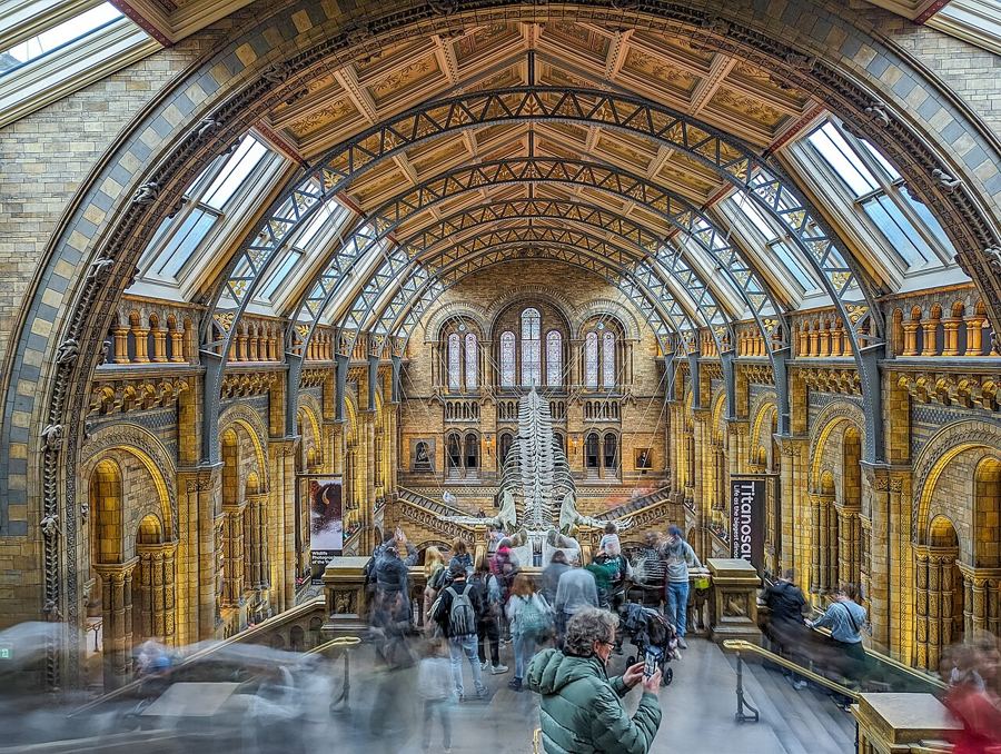 Science / Natural History Museum
