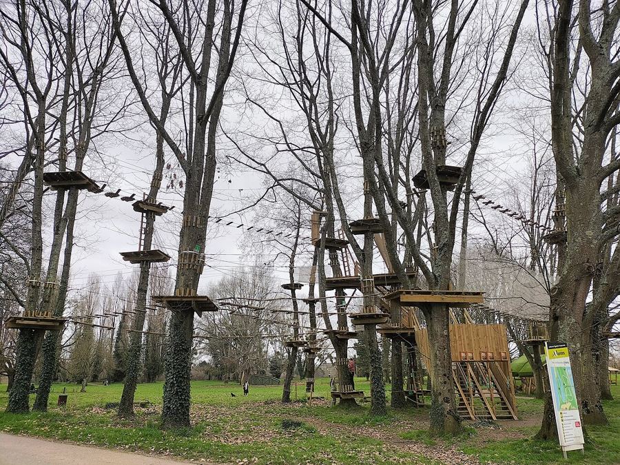 Percorso acrobatico sugli alberi