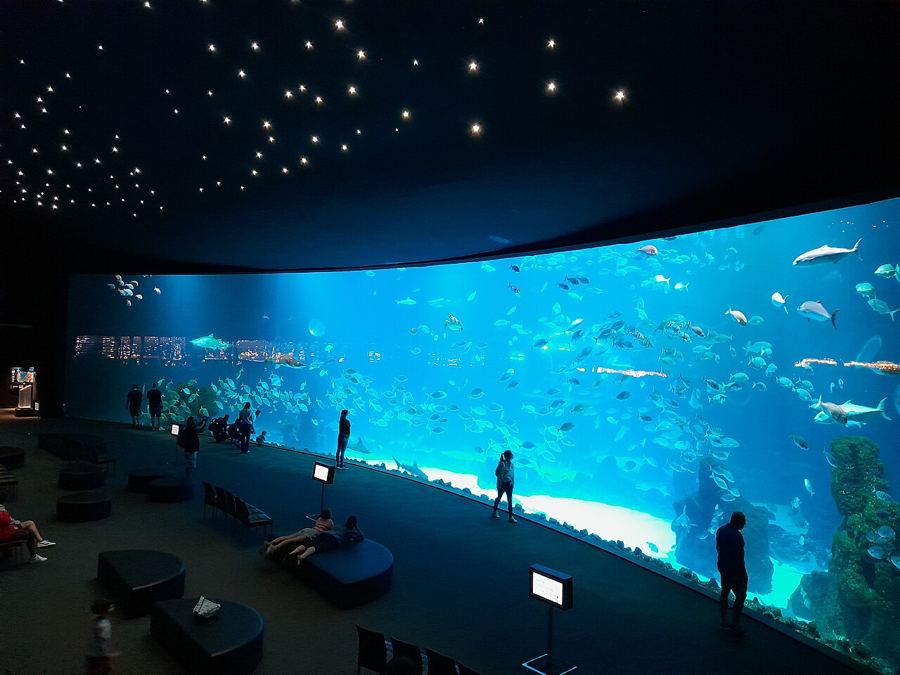 Acquario Poema del Mar